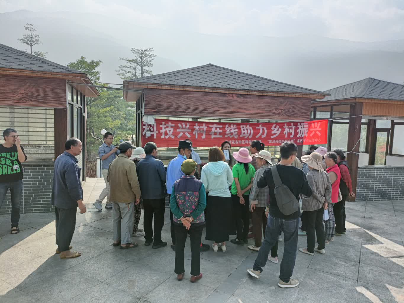 插入的图片