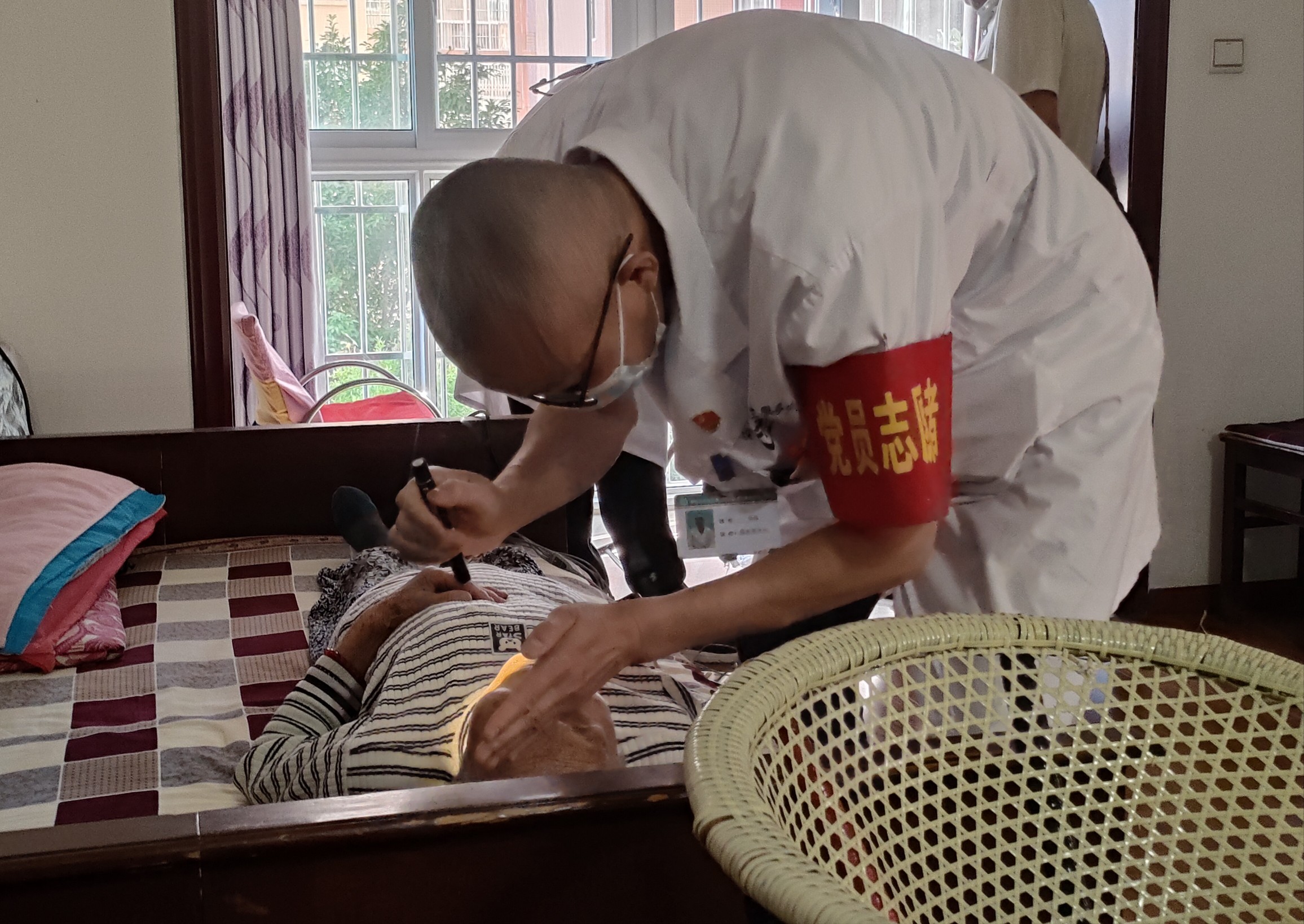 插入的图片