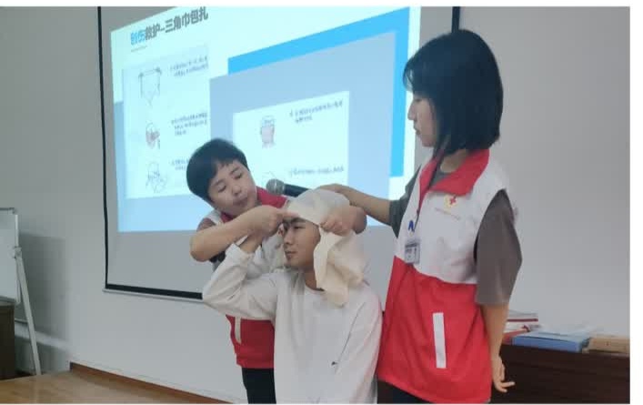 插入的图片
