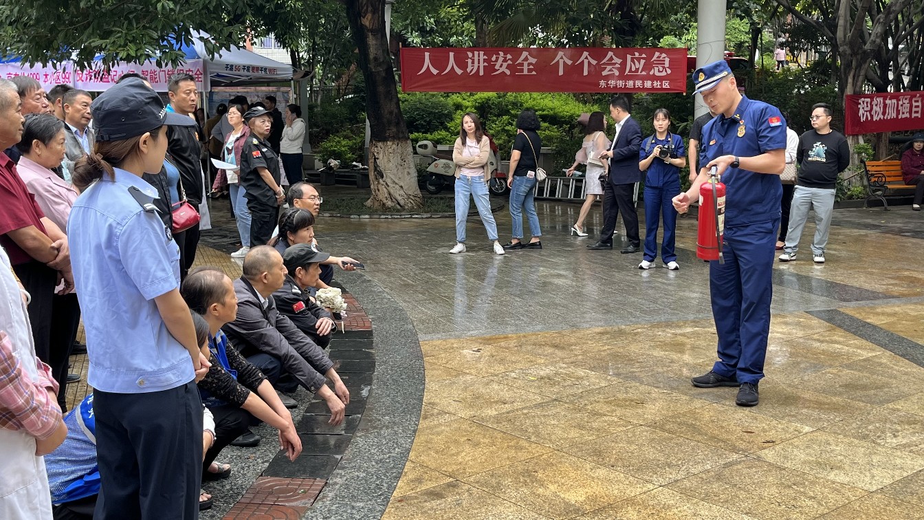 插入的图片