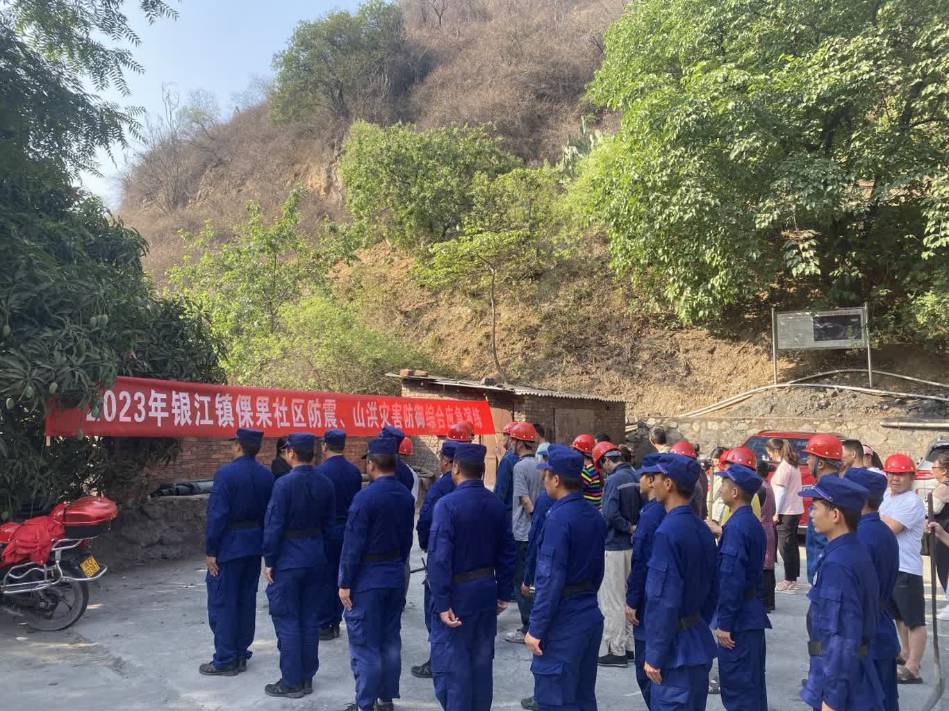 插入的图片