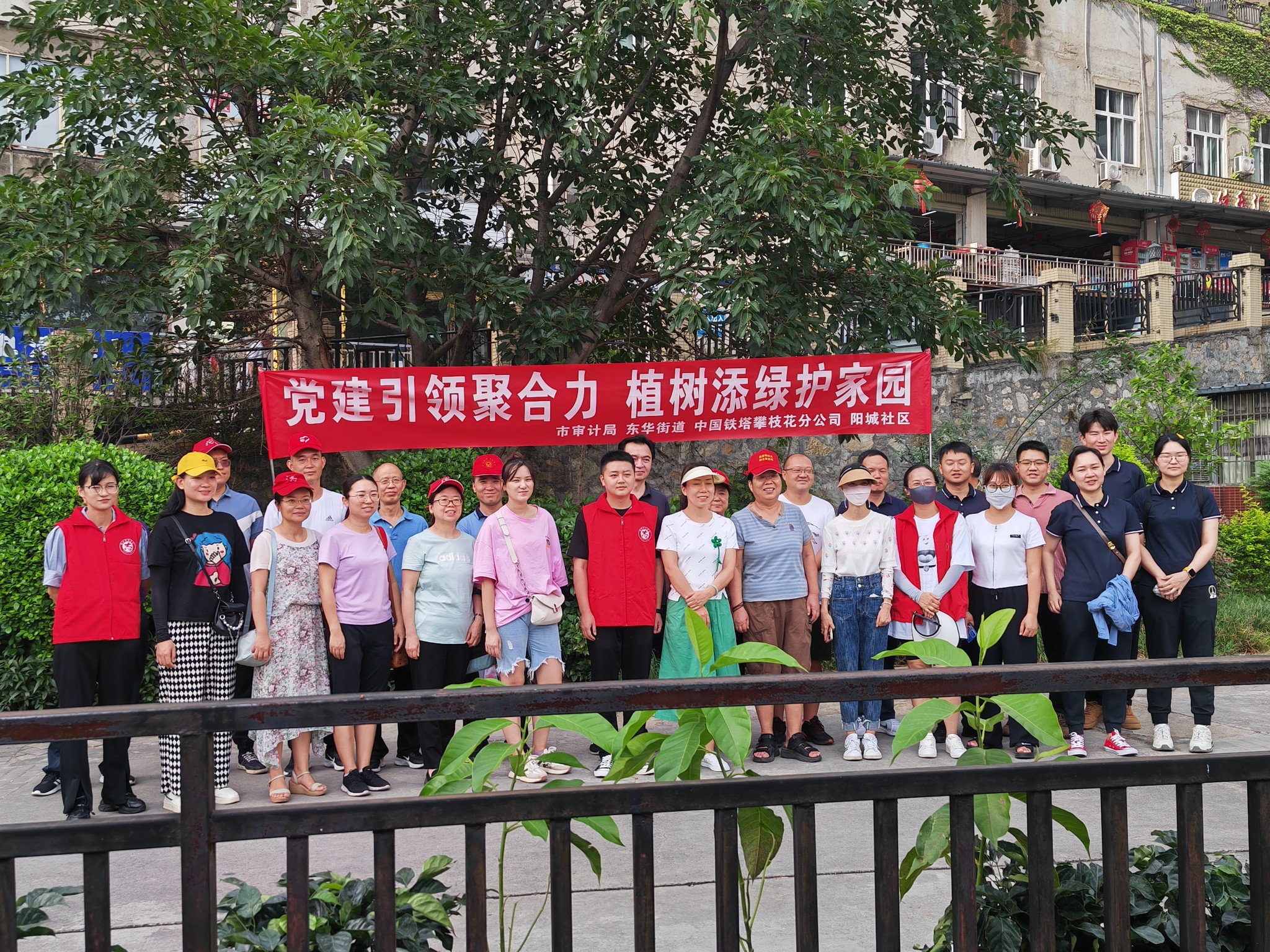 插入的图片
