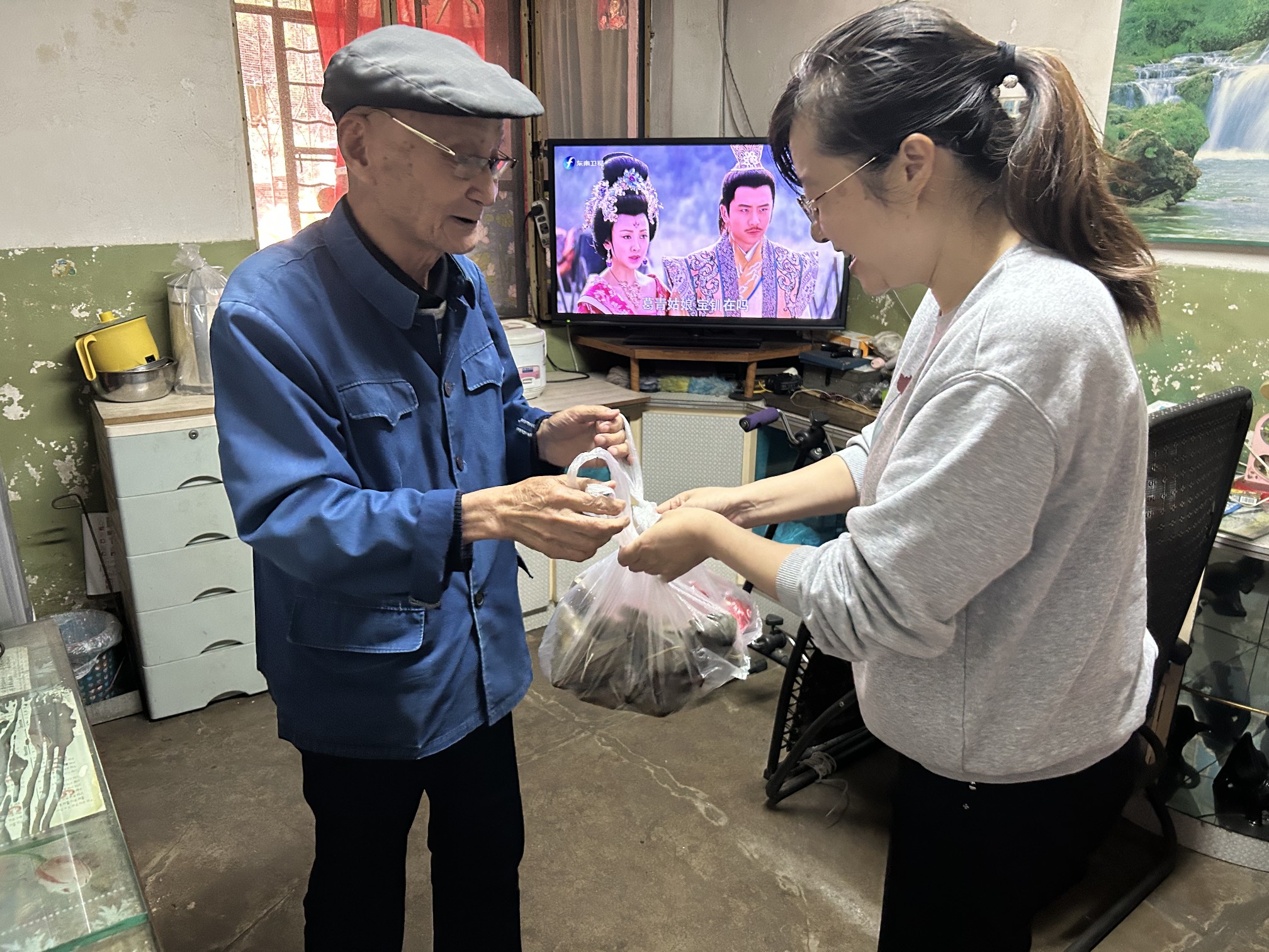 插入的图片