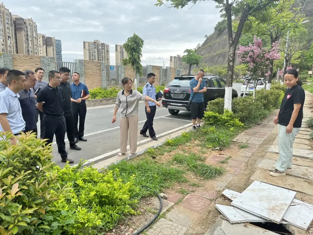 插入的图片