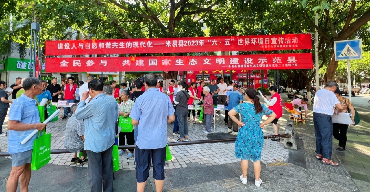 插入的图片