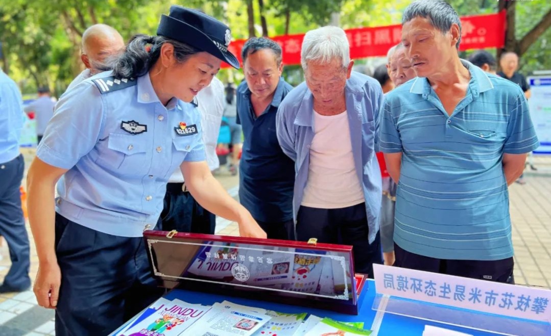 插入的图片