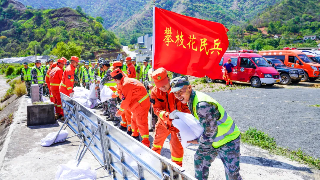 插入的图片