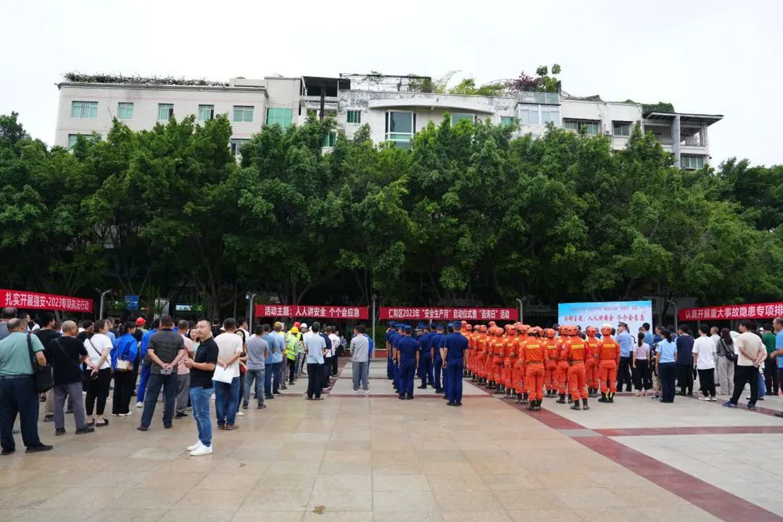 插入的图片