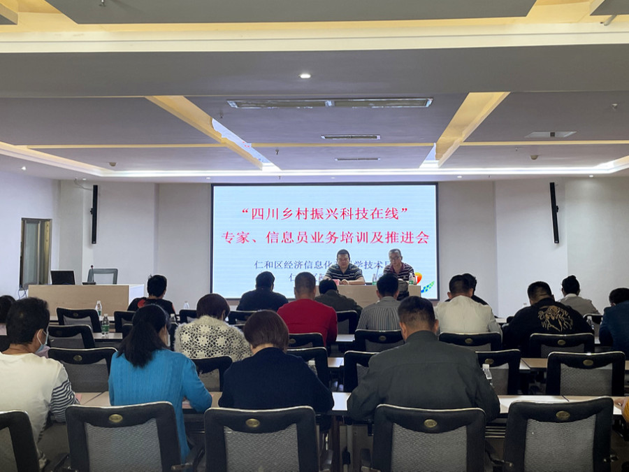 插入的图片