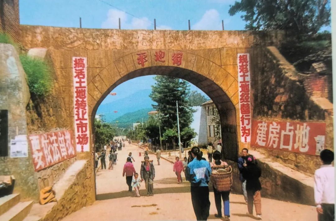 插入的图片