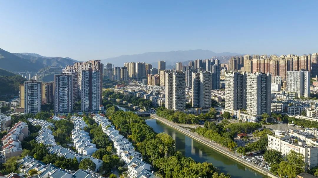 插入的图片