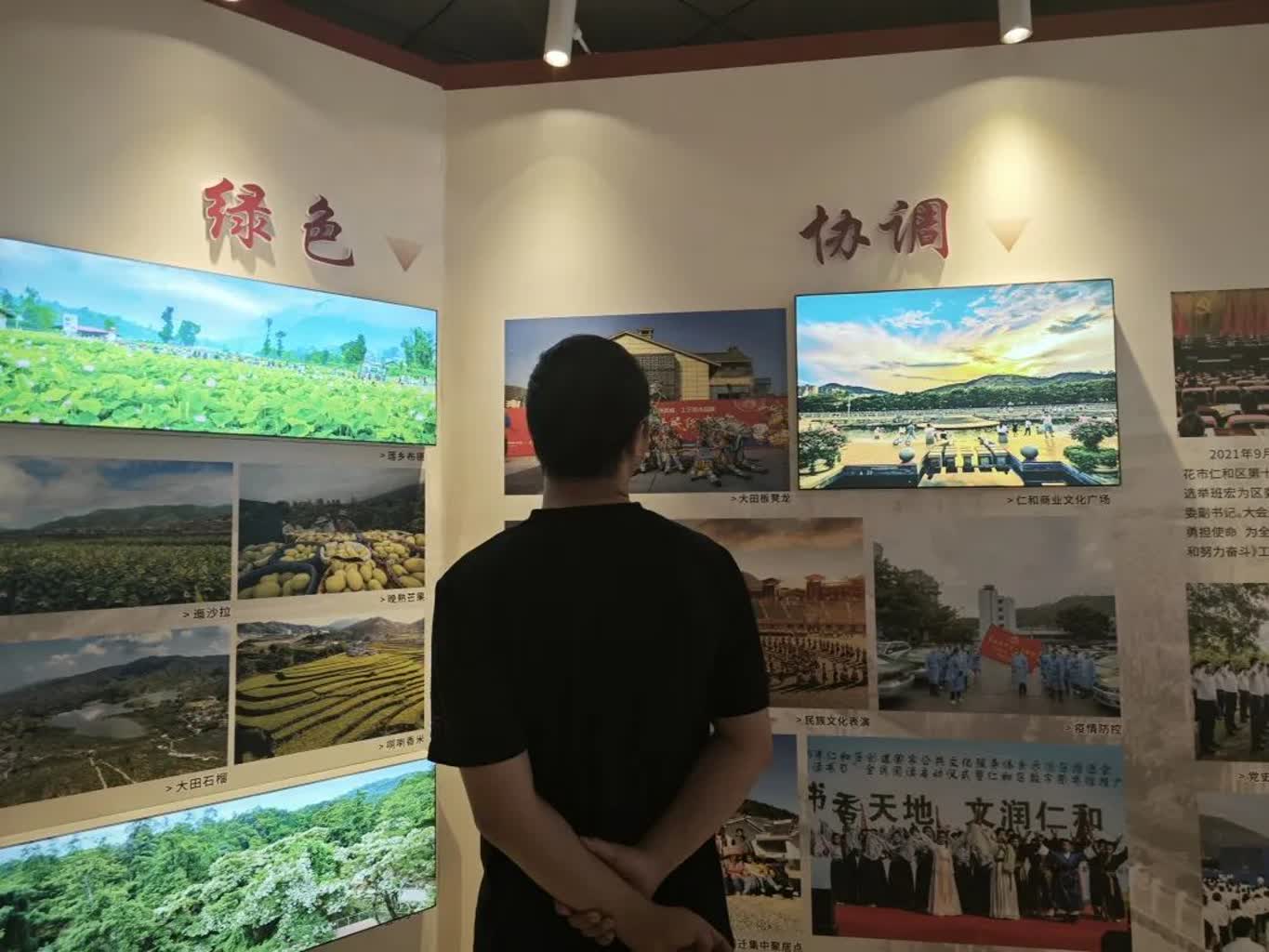 插入的图片