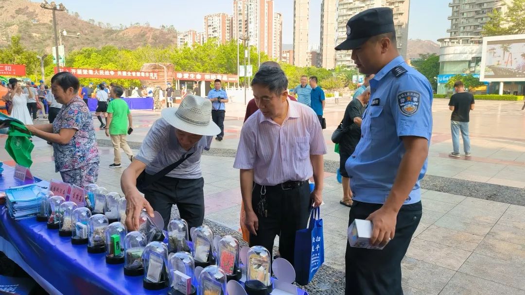 插入的图片
