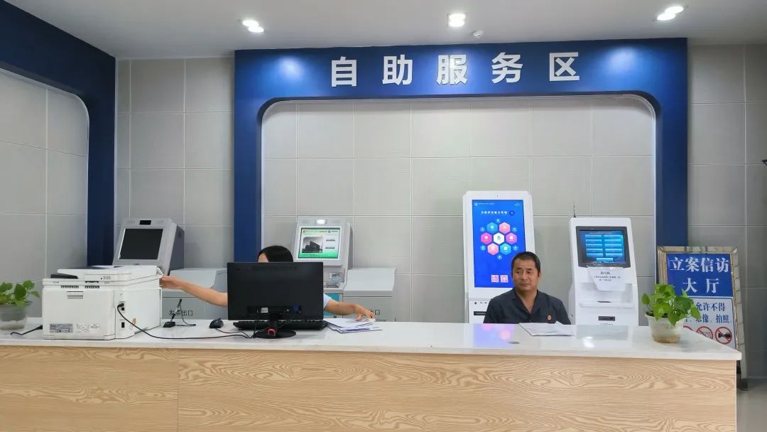 插入的图片