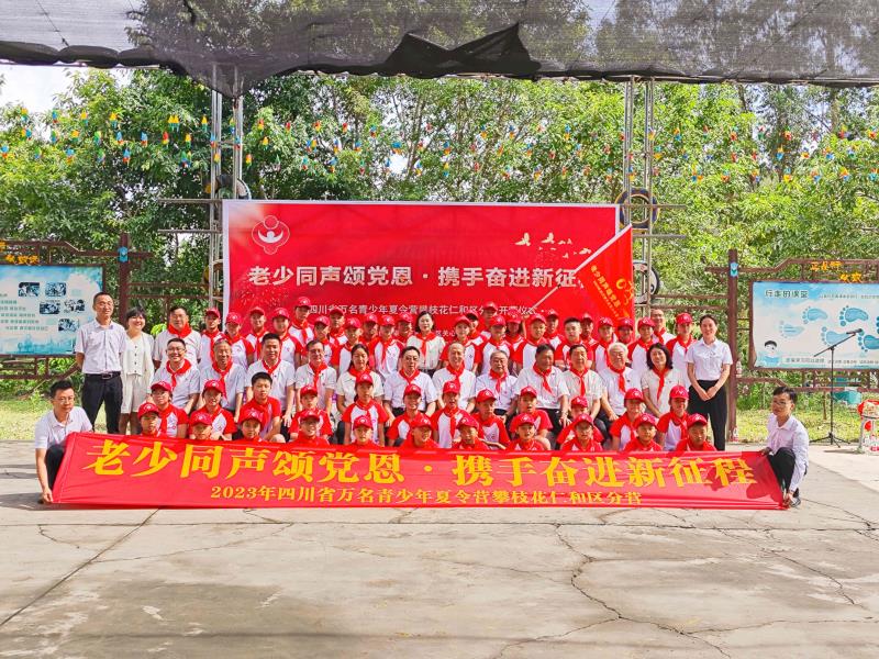 插入的图片