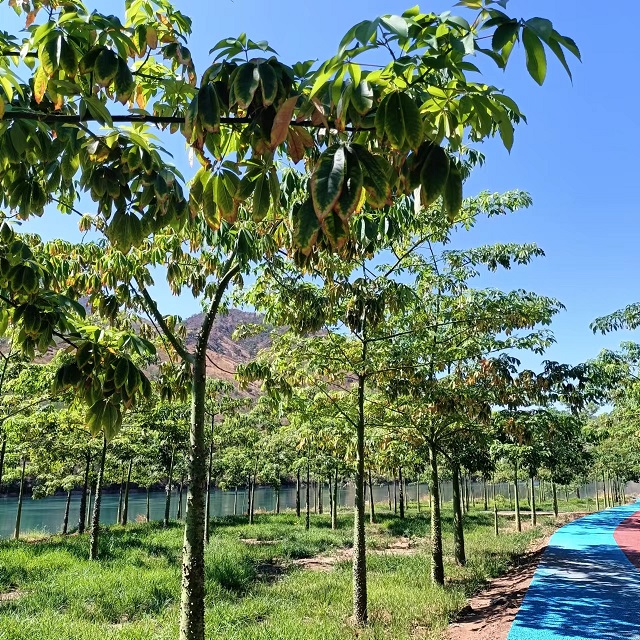 庄上村花木基地.jpg