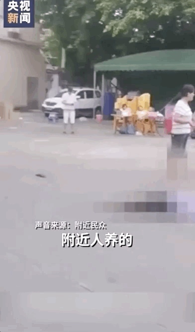微信圖片_20200821081626.gif
