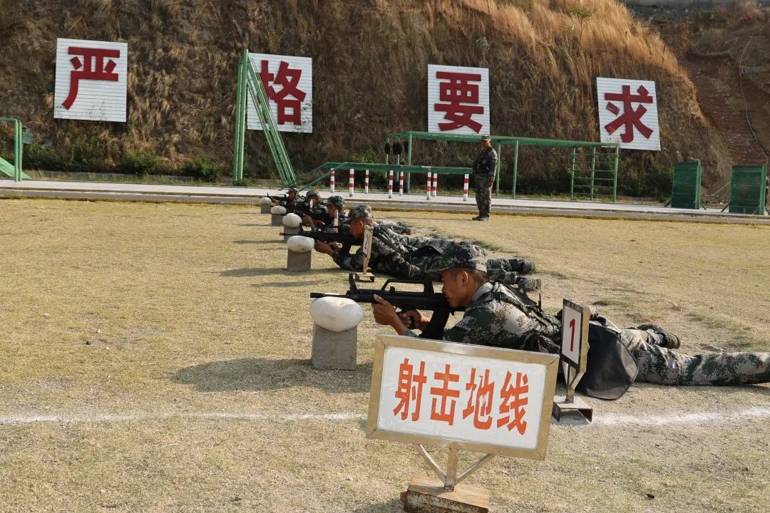 插入的图片