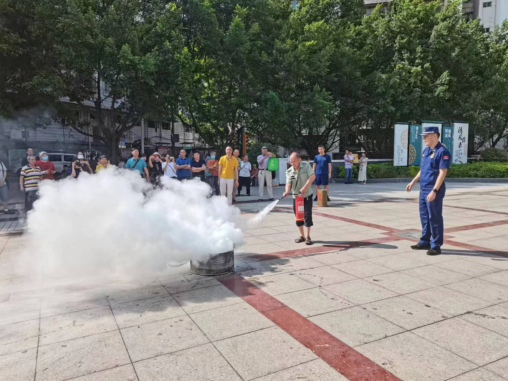 插入的图片