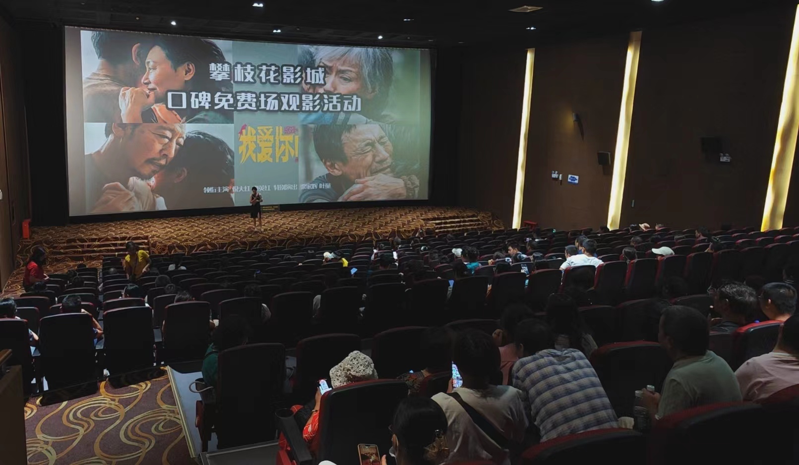 插入的图片