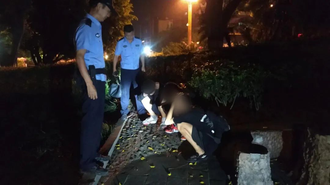插入的图片