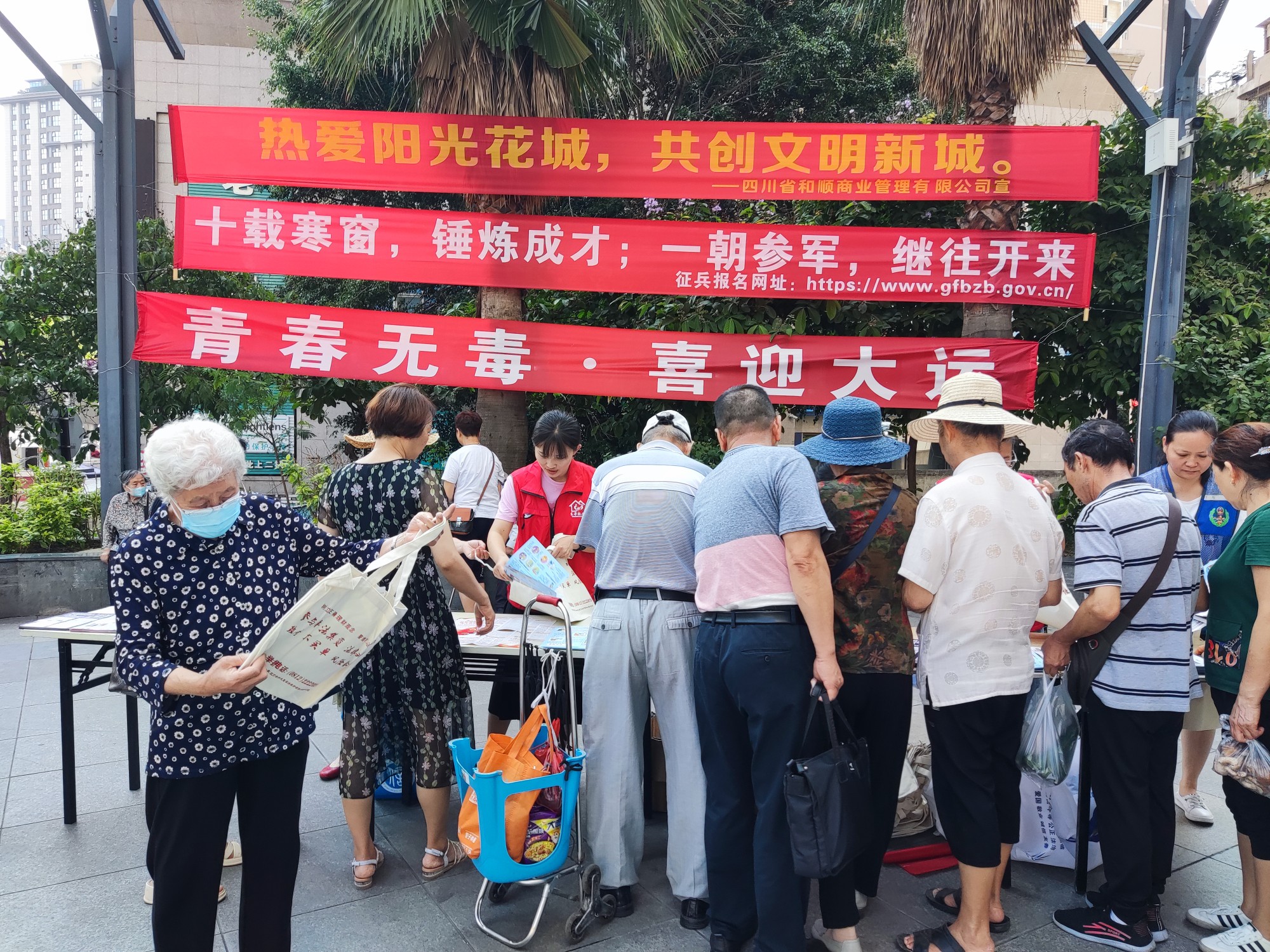 插入的图片
