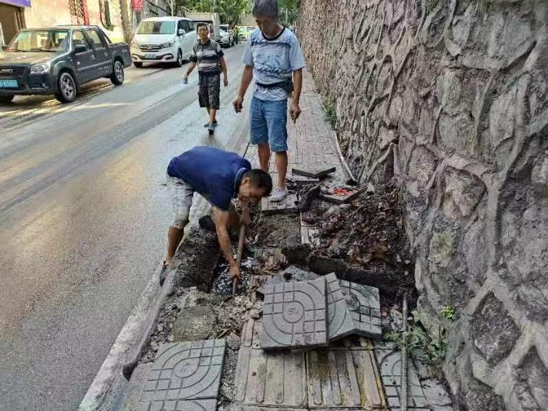 插入的图片