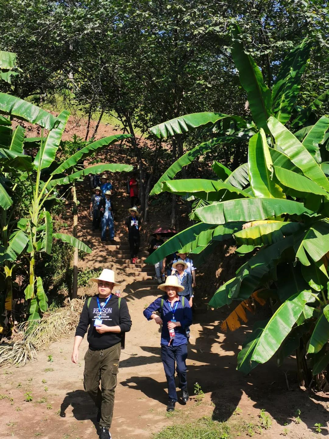 微信图片_20210627091140.jpg 微信图片_20210627091140.jpg