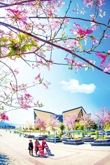 ba79cd4839d73c08ee1459025656b04d_s.jpg ba79cd4839d73c08ee1459025656b04d_s.jpg