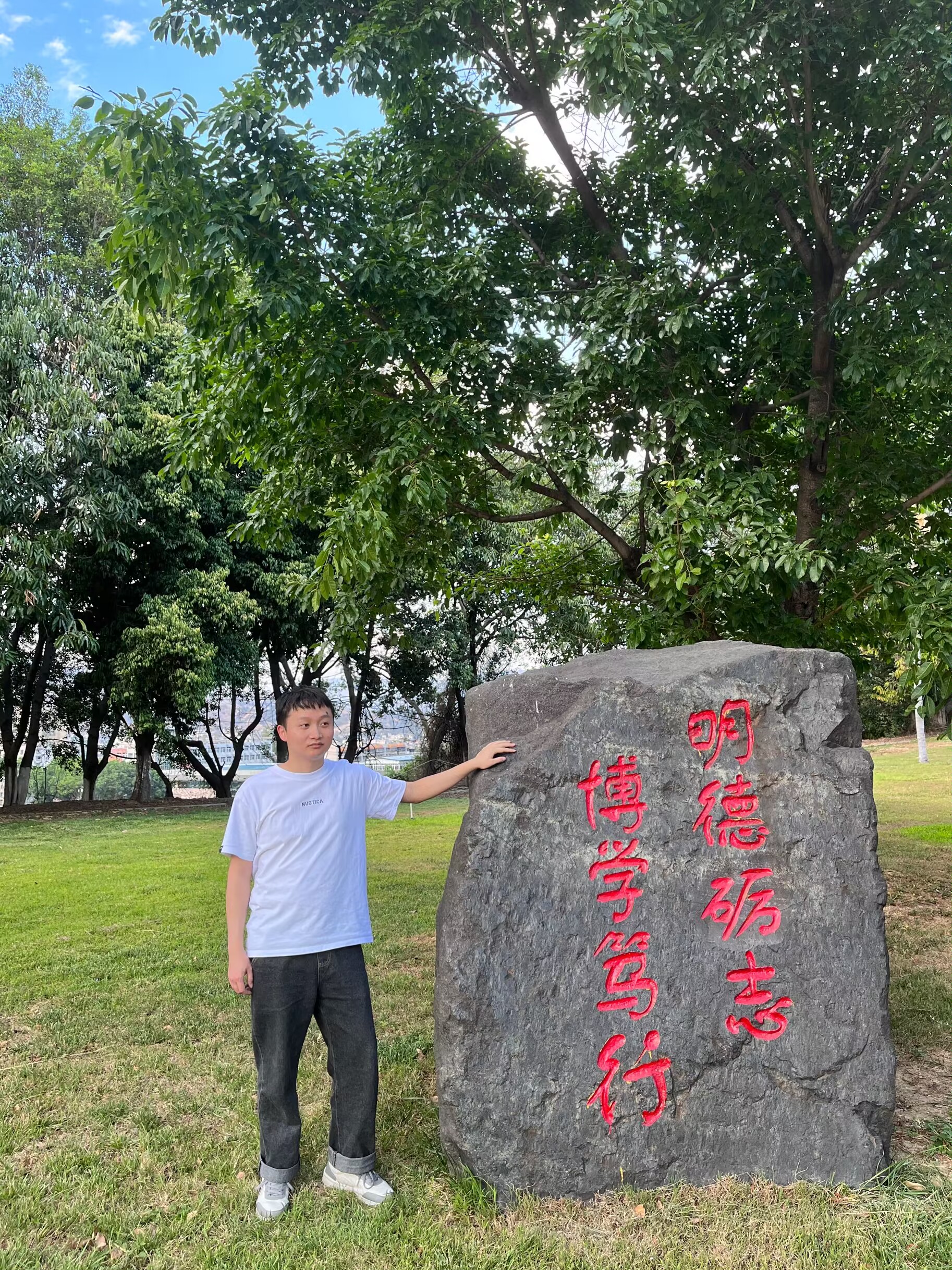 插入的图片