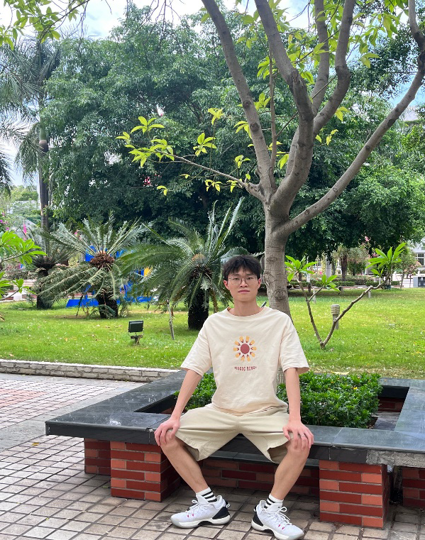 插入的图片