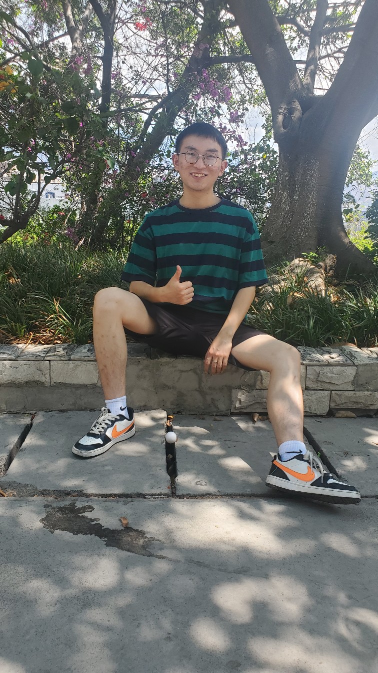 插入的图片