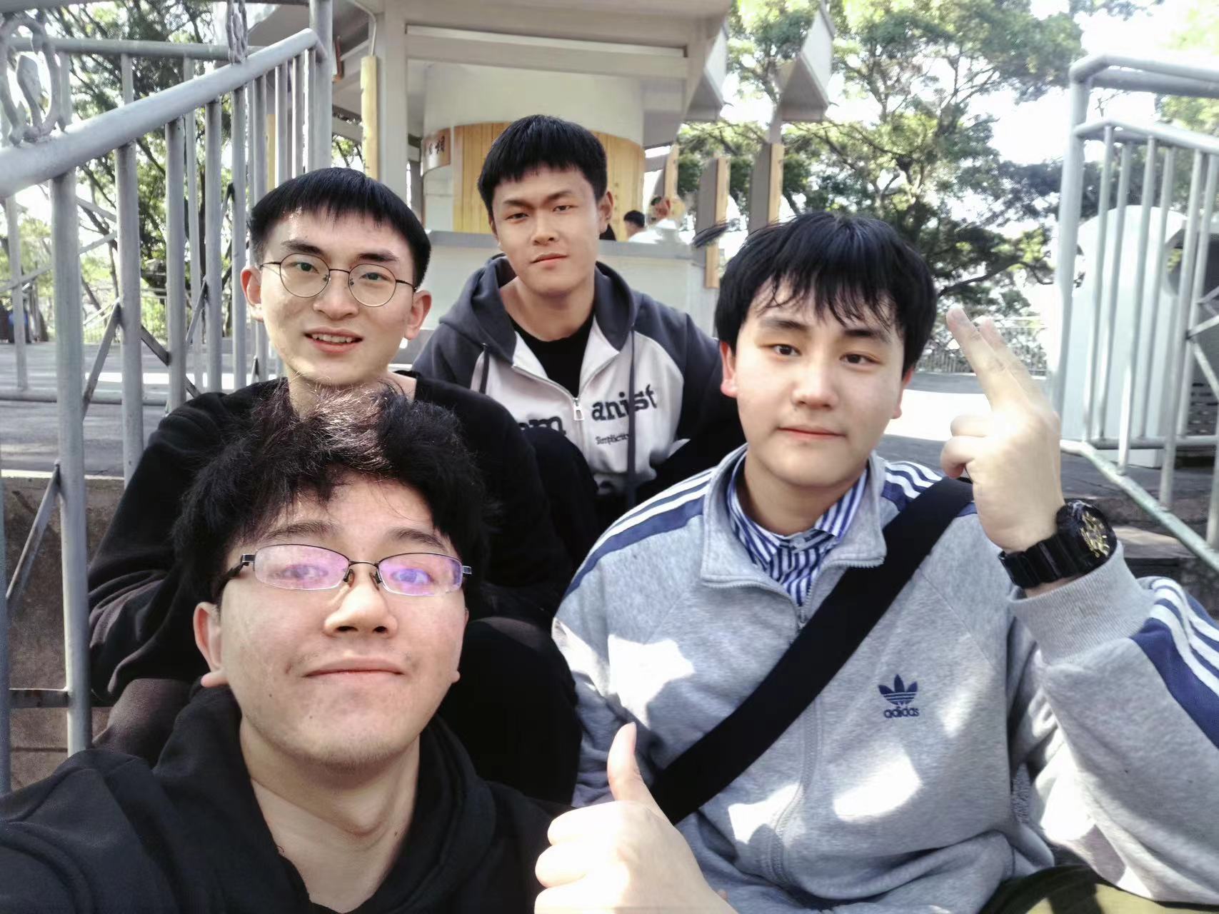 插入的图片