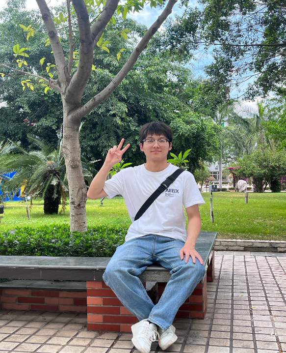 插入的图片