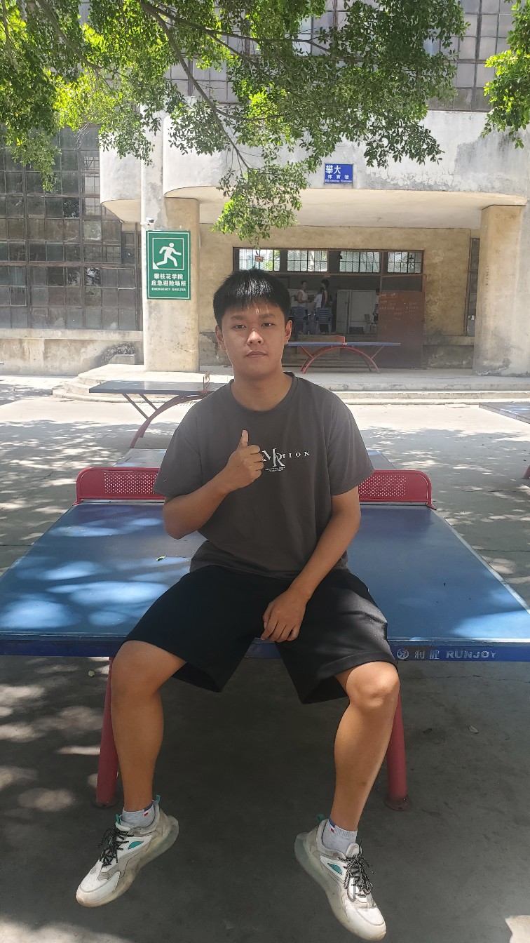 插入的图片