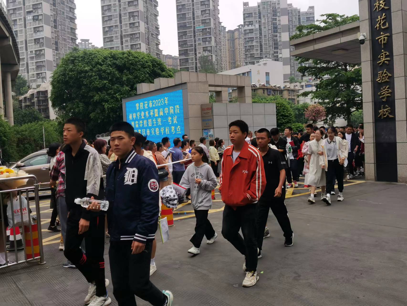 插入的图片