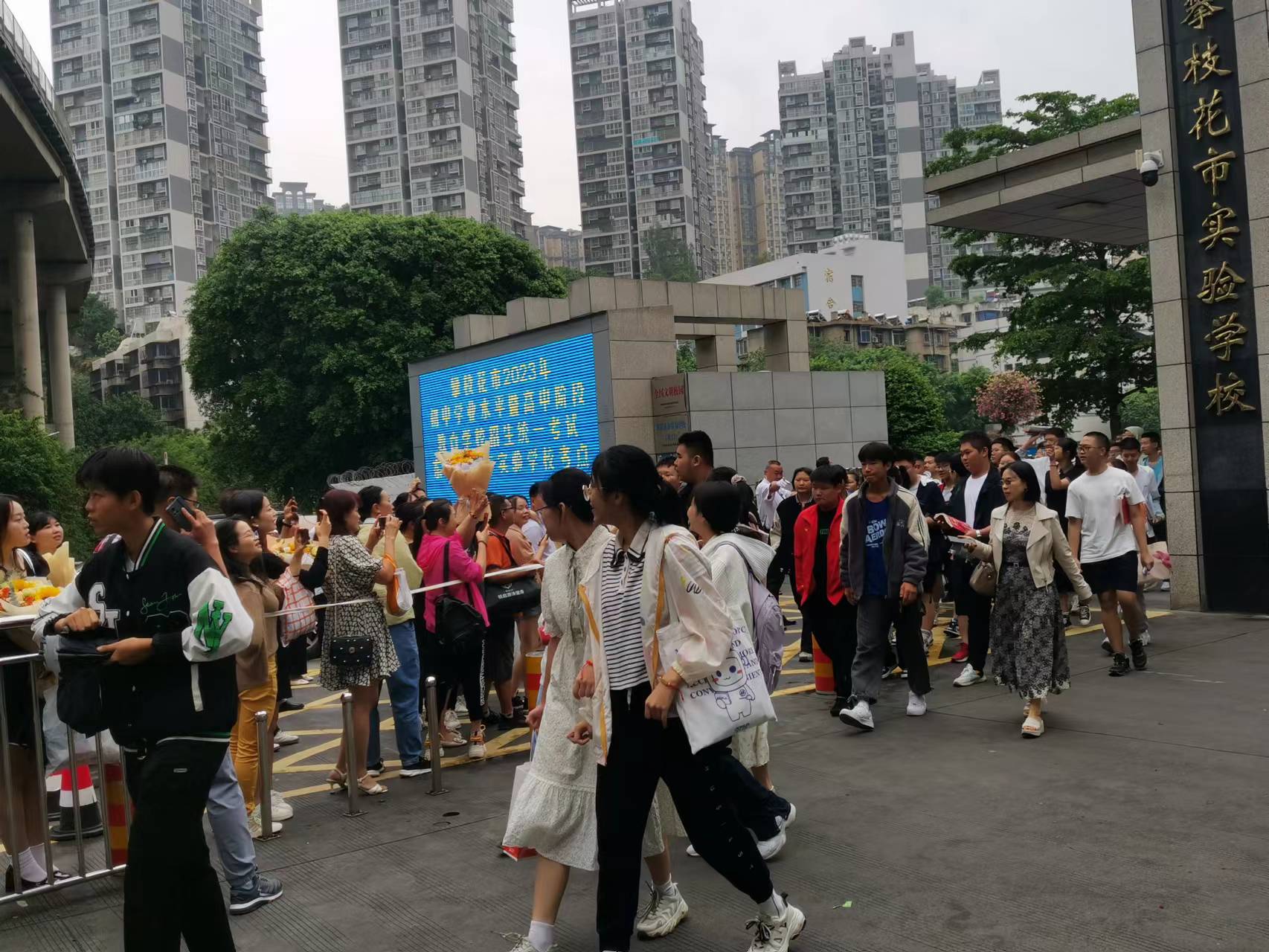 插入的图片