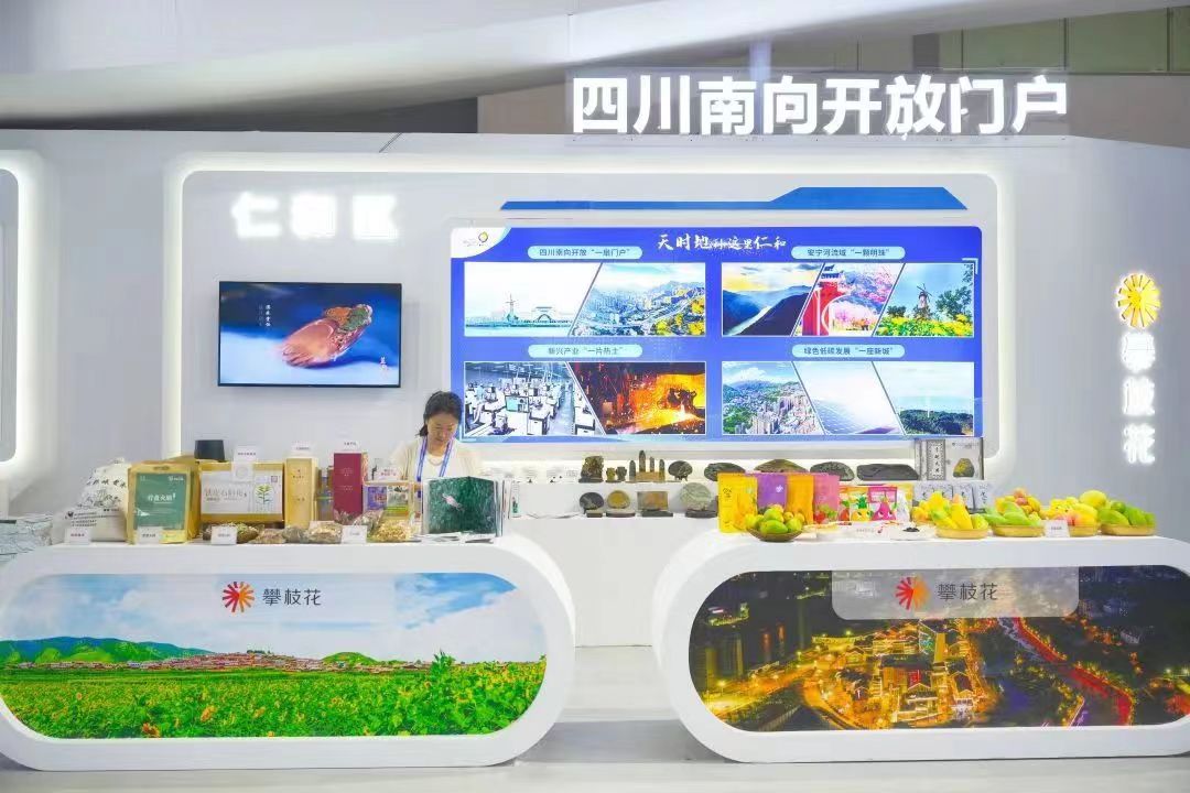 插入的图片