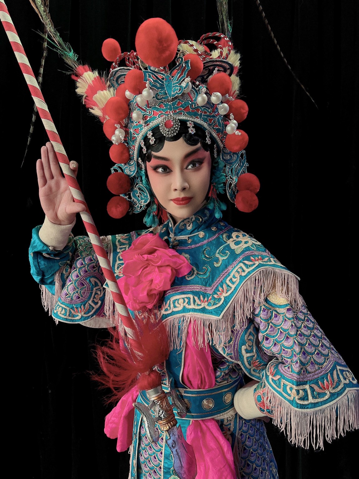 插入的图片